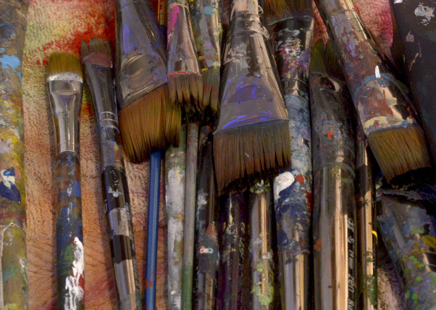 Stacy Self Mural Brushes
